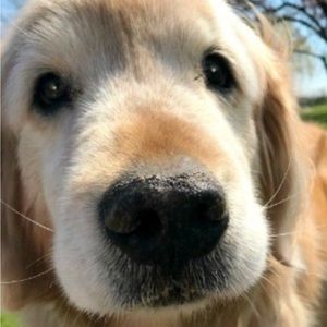 Meet your Posher, Eva